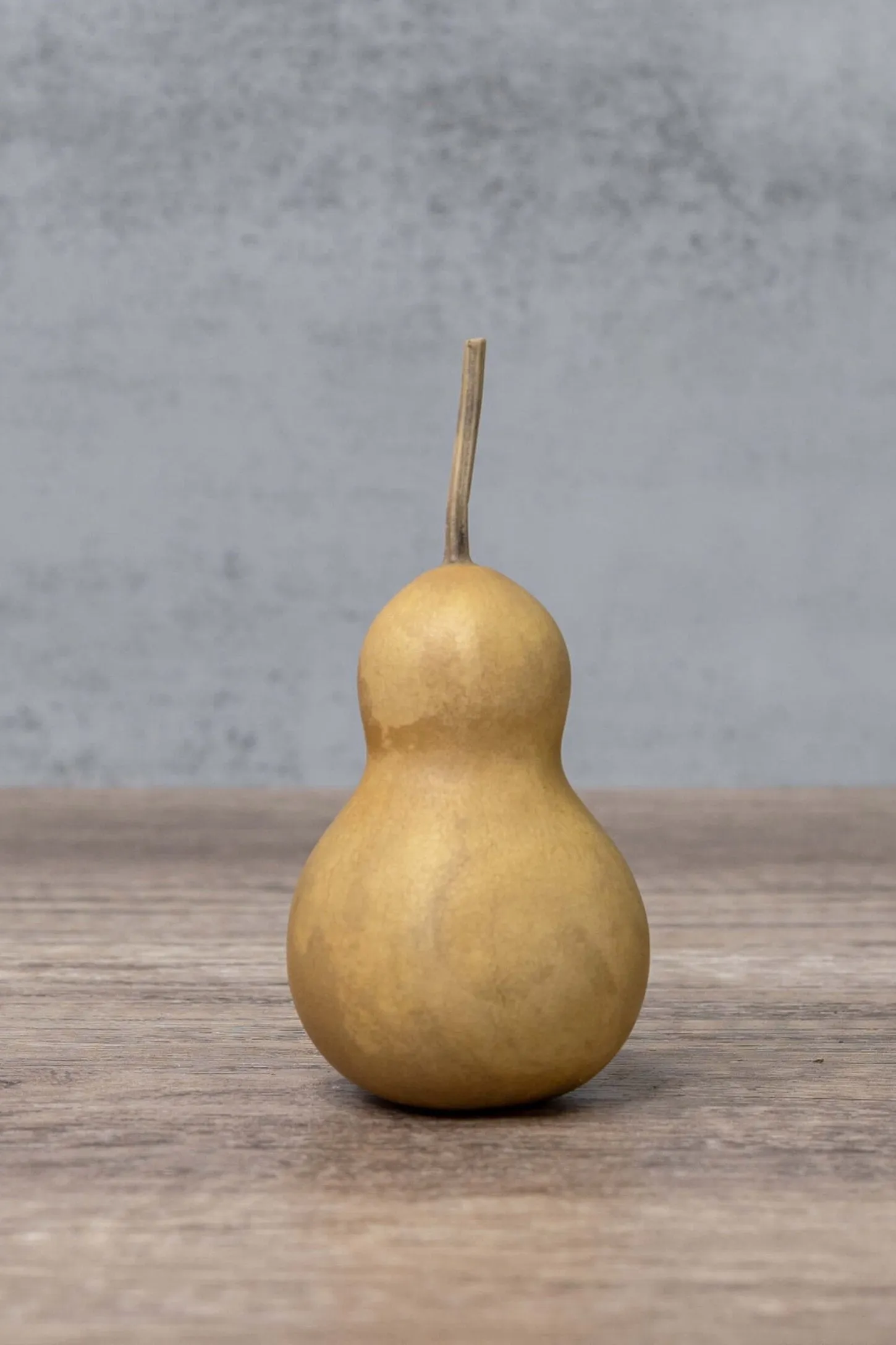 Dried 2 Inch Bottle Gourd