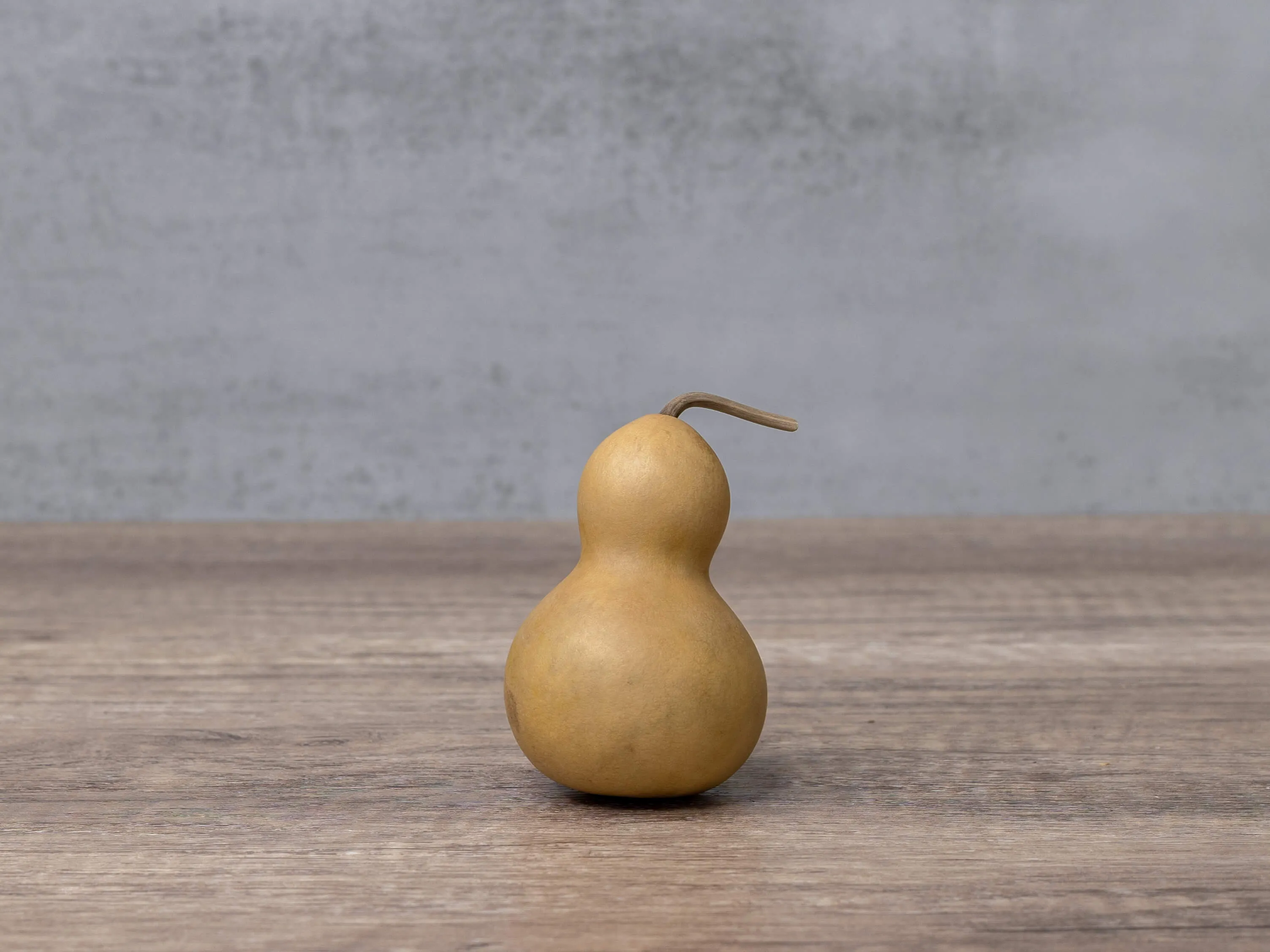 Dried 2 Inch Bottle Gourd