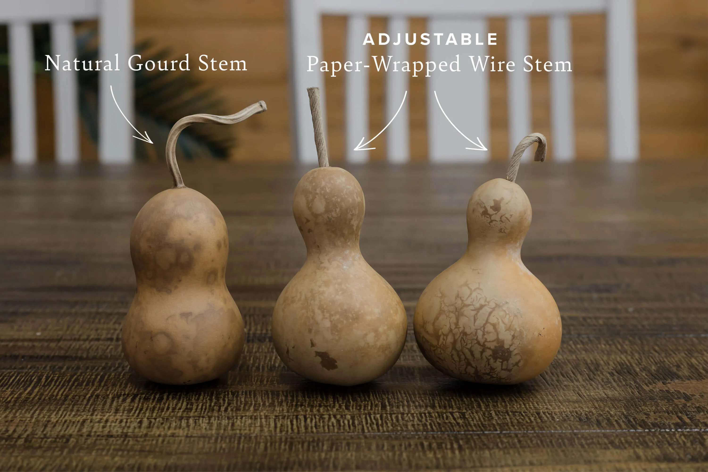 Dried 2 Inch Bottle Gourd