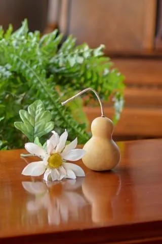 Dried 2 Inch Bottle Gourd