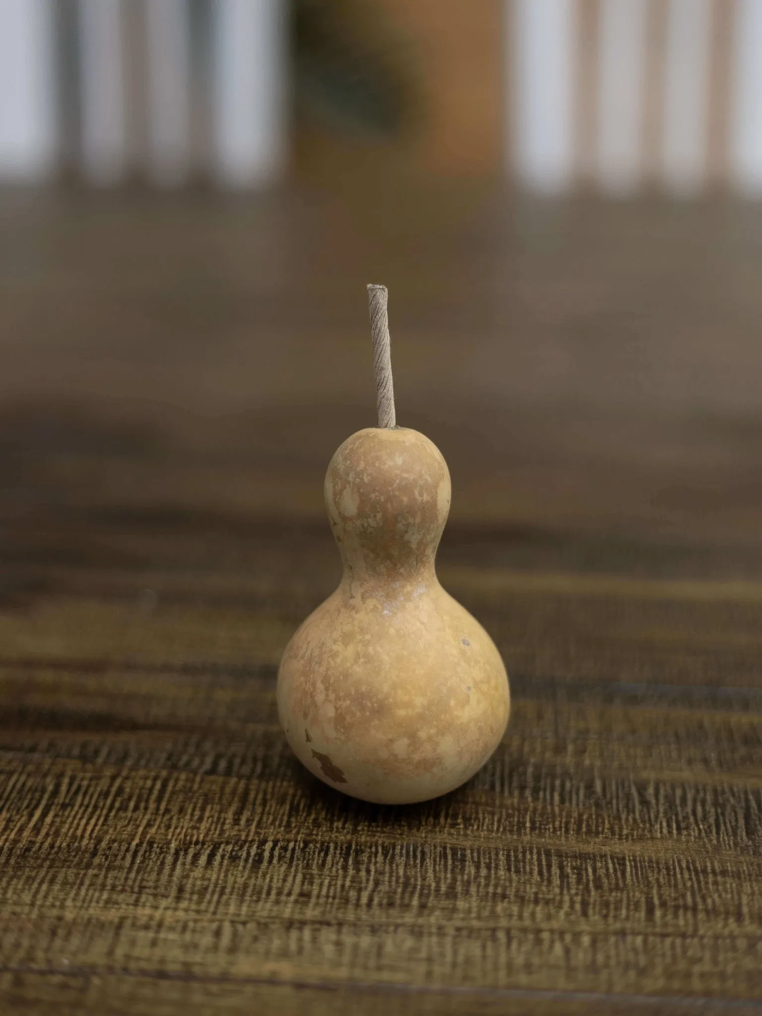 Dried 2 Inch Bottle Gourd