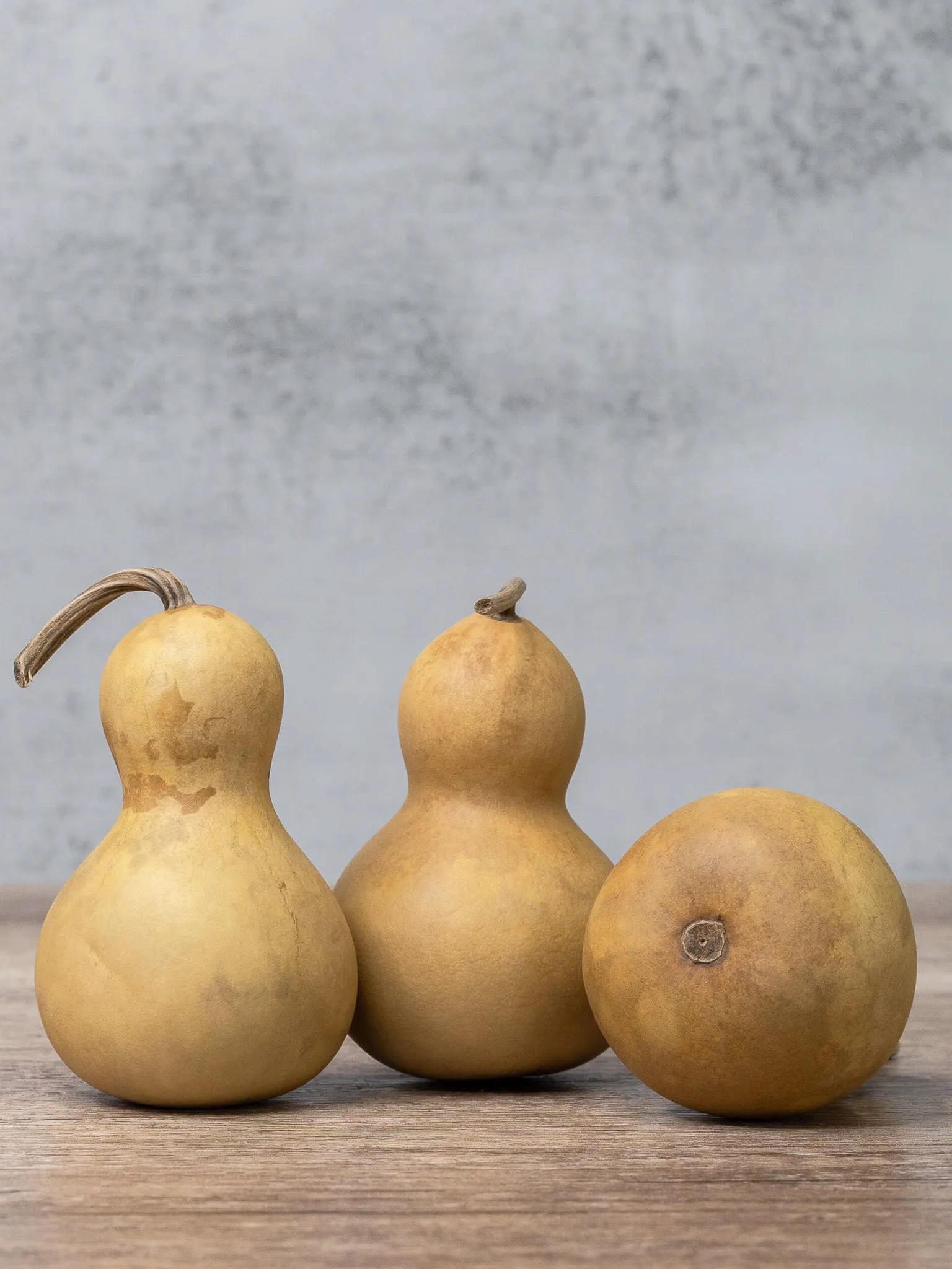 Dried 2 Inch Bottle Gourd