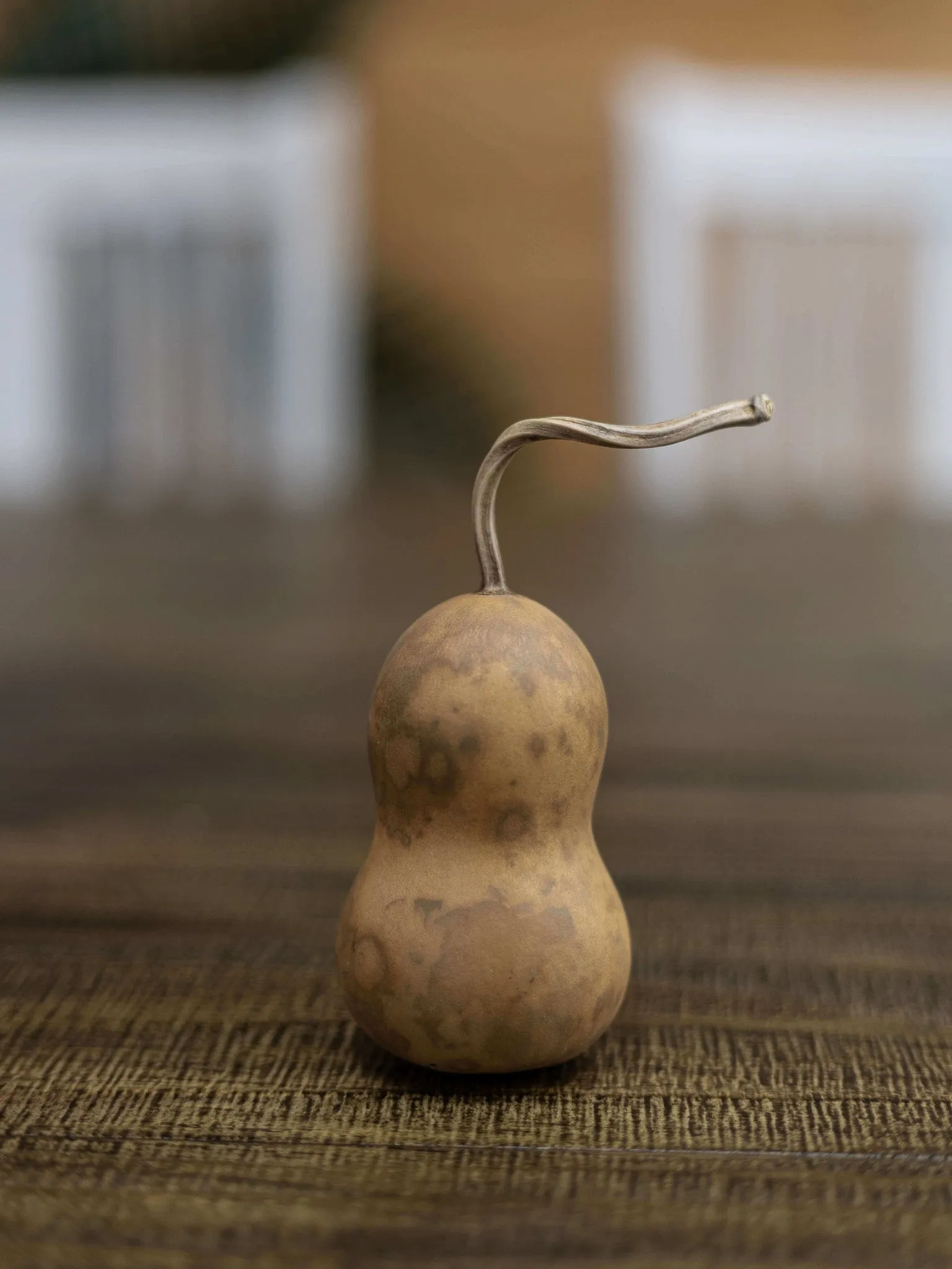 Dried 2 Inch Bottle Gourd