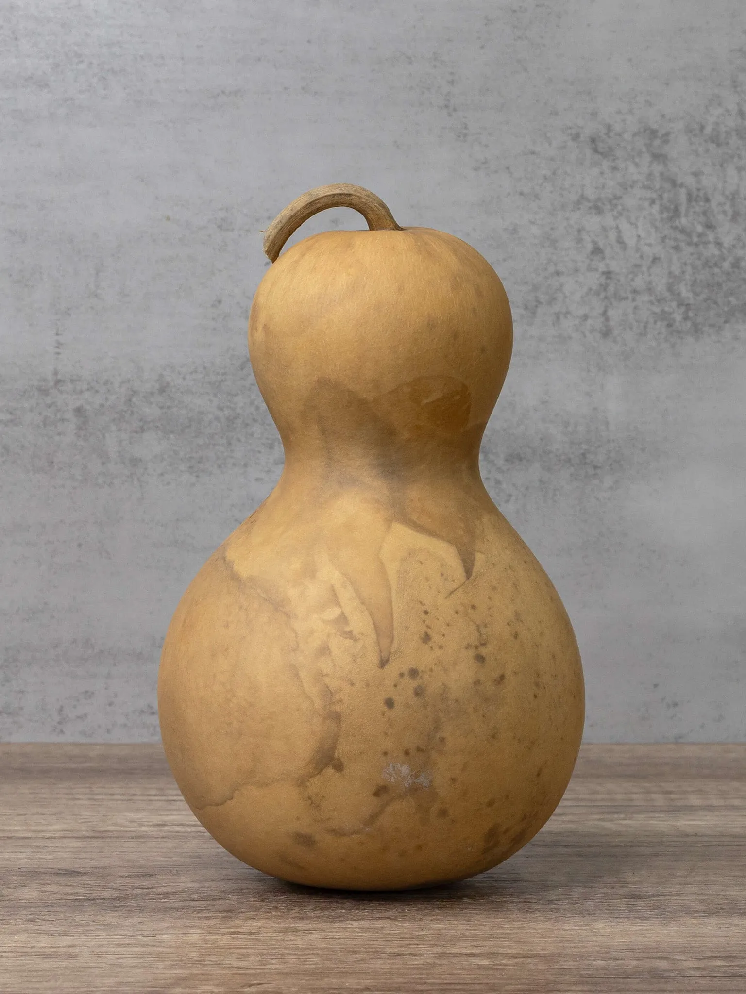 Dried 5 Inch Bottle Gourd