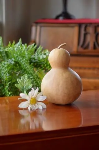 Dried 5 Inch Bottle Gourd