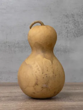 Dried 5 Inch Bottle Gourd