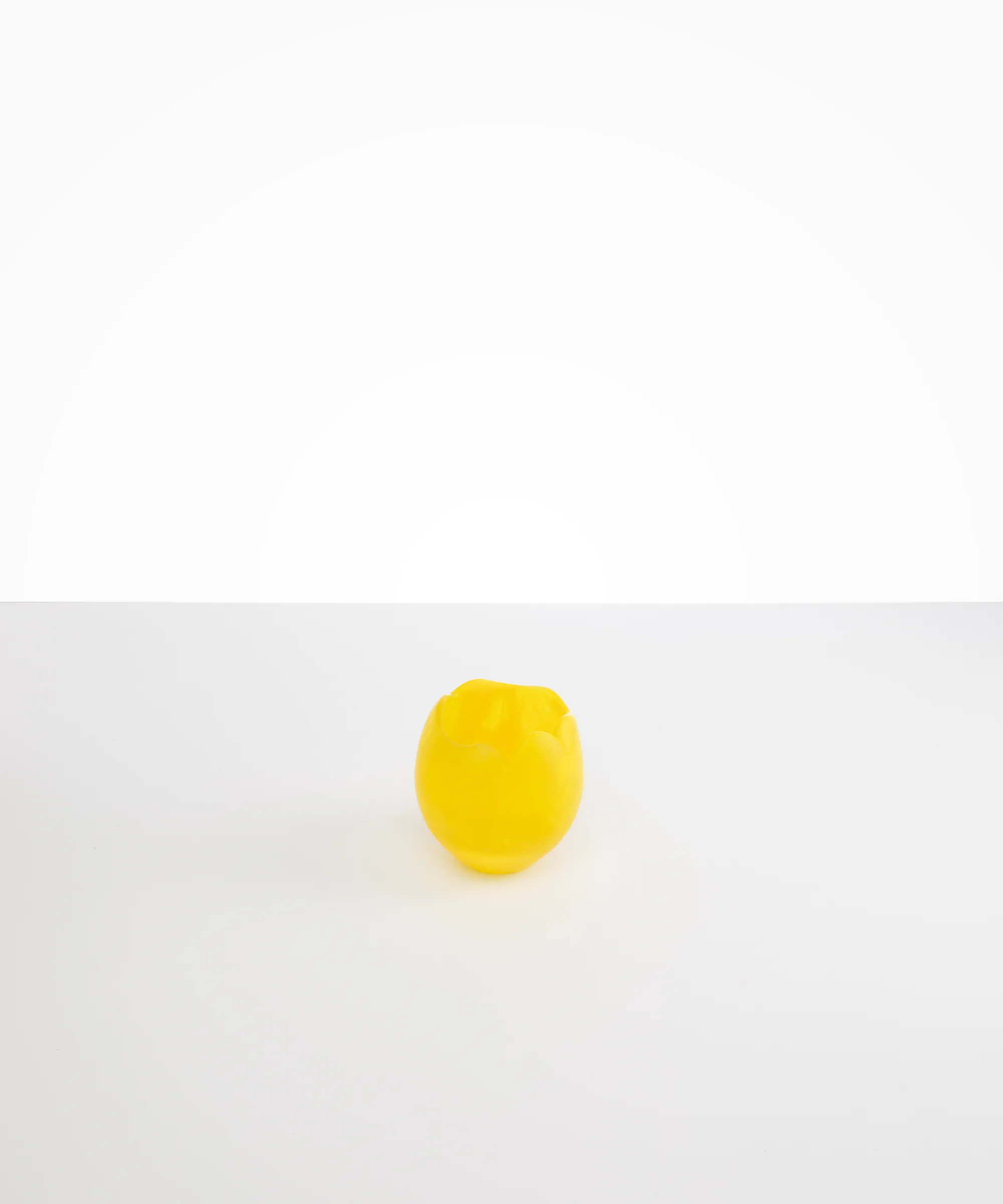 Small Paradise Vase