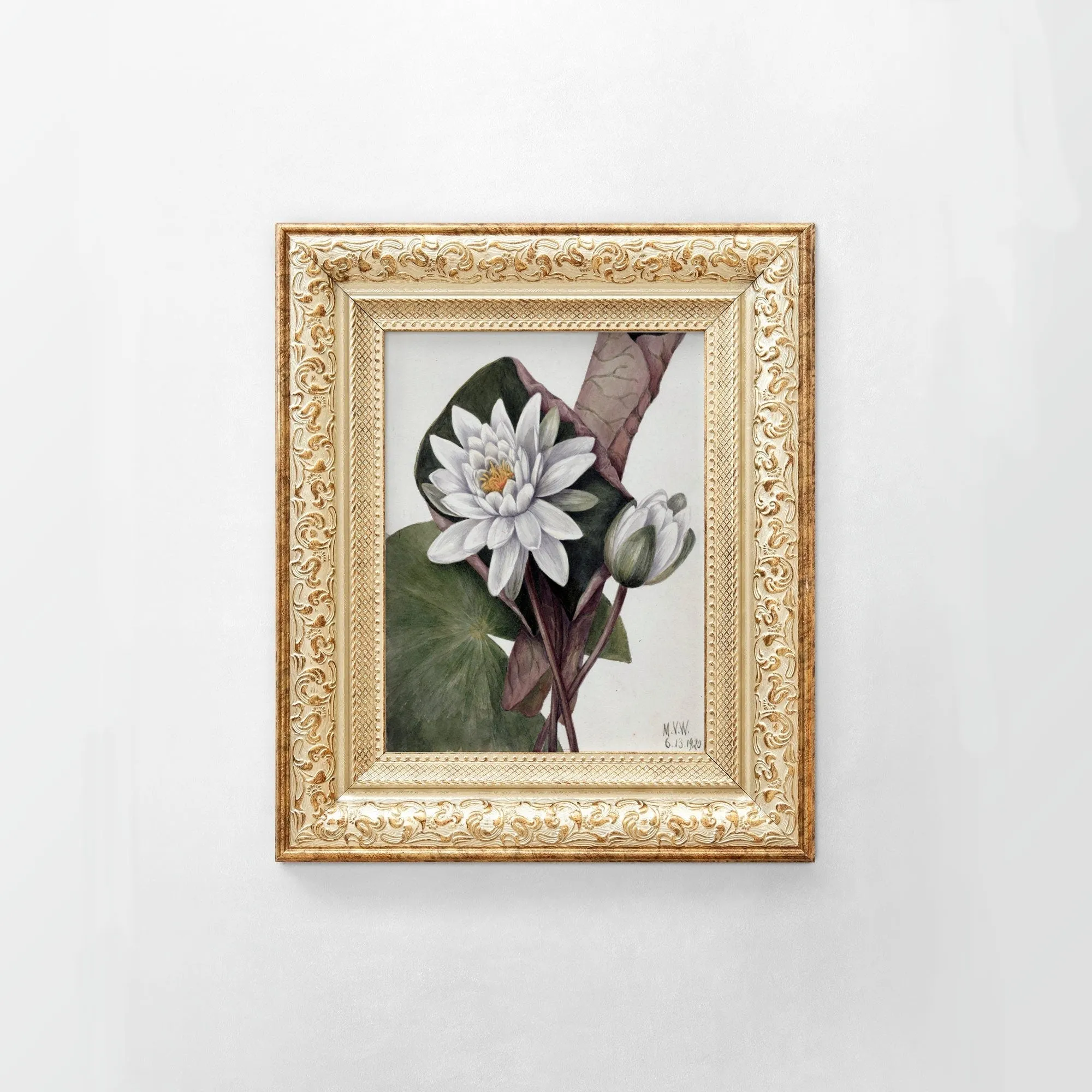 White Floral Plant Kitchen Wall Art