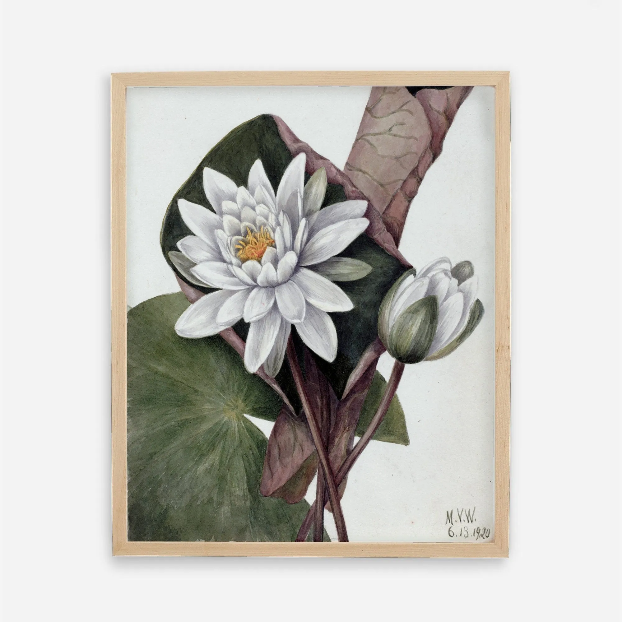 White Floral Plant Kitchen Wall Art